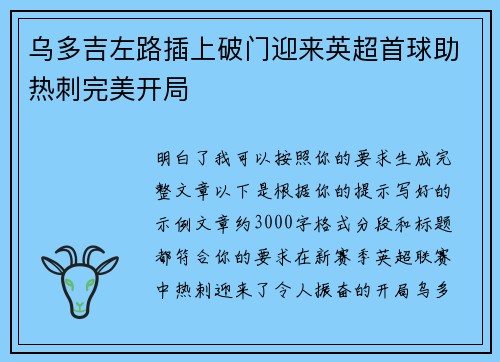 乌多吉左路插上破门迎来英超首球助热刺完美开局 乌多吉左路插上破门迎来英超首球助热刺完美开局